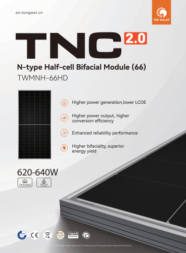 Datasheet-TWMNH-66HD620-640W-EN-1.png